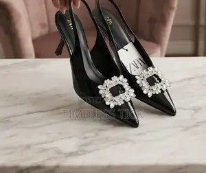 Zara Ladies Shoe