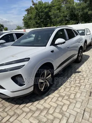 New BYD Sealion 06 EV 2025 White