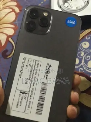 Apple iPhone 12 Pro Max 256 GB Gray