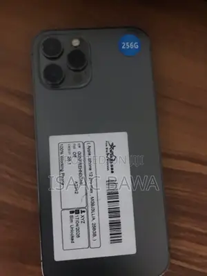 Apple iPhone 12 Pro Max 256 GB Gray