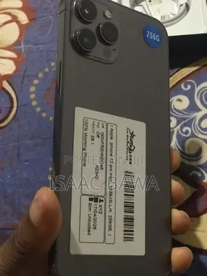 Apple iPhone 12 Pro Max 256 GB Gray