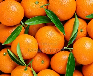 Foreign Tangerine