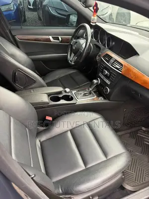 Mercedes-Benz C250 2014 Gray