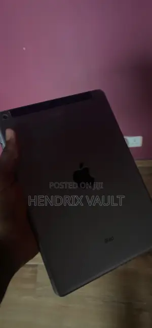 Apple iPad Air 64 GB Gray