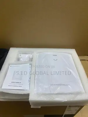 Grandstream GWN7660LR Outdoor Ax3000 WiFi 6 Access Point