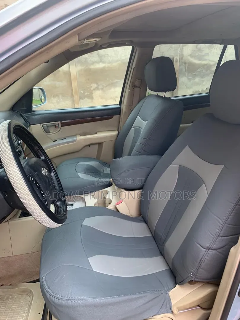 Hyundai Santa Fe 2009 Blue