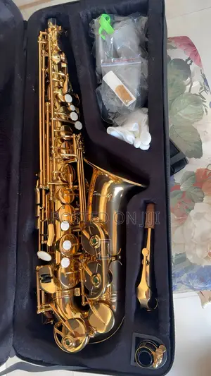 Sunsmile Golden Alto Saxophone – Like New