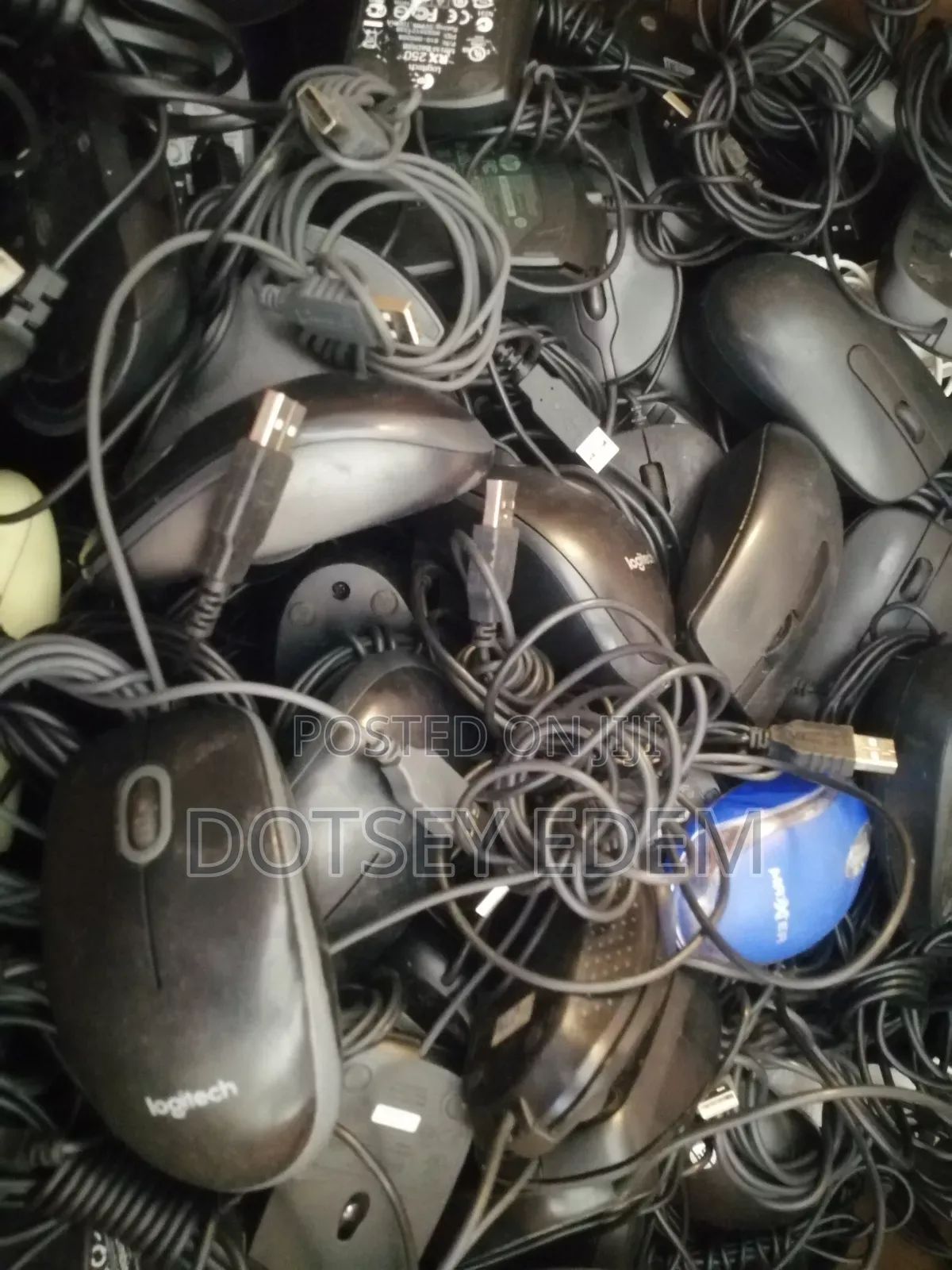 Quality Mouse Wholesale