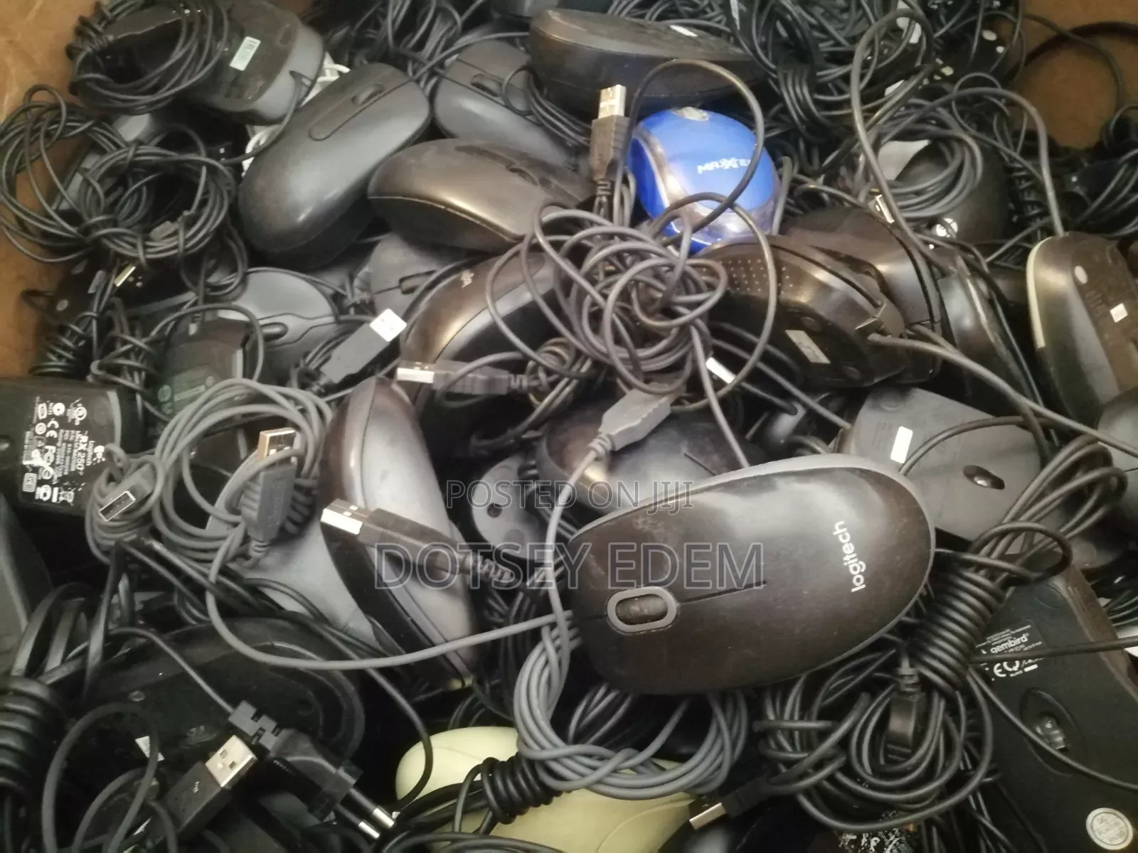 Quality Mouse Wholesale
