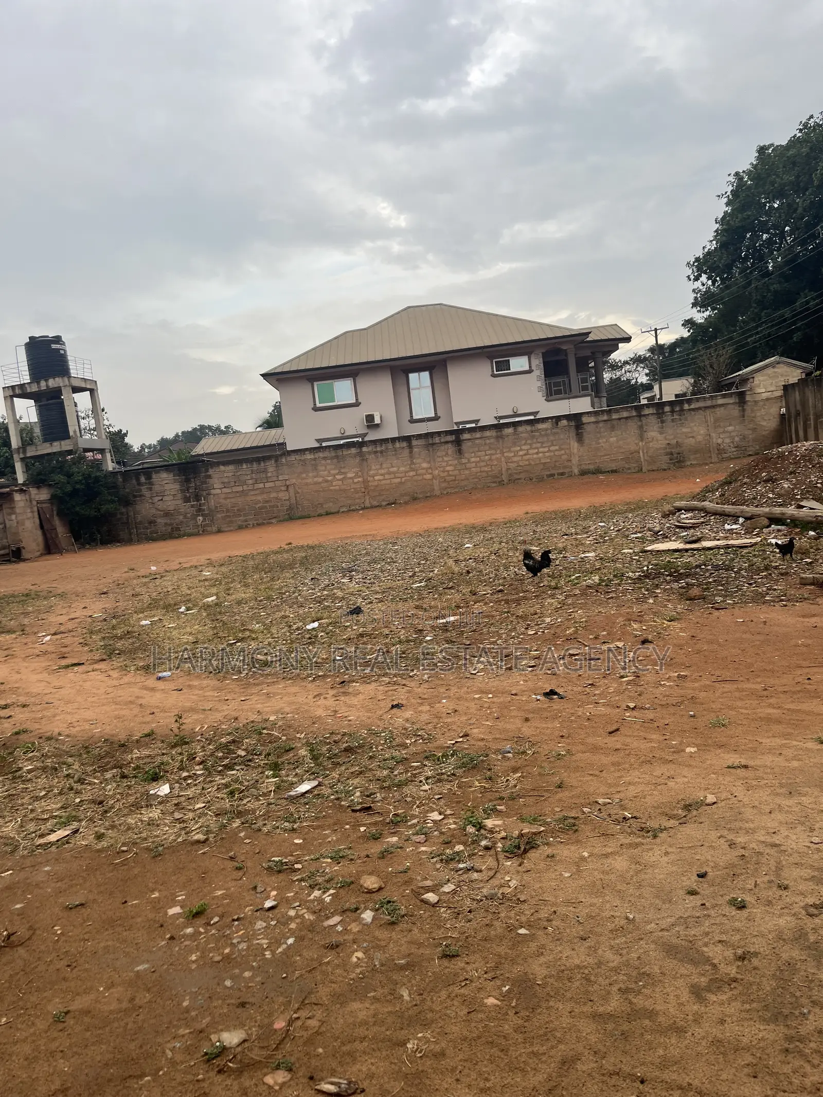 4plots Forsale- Asylum Down