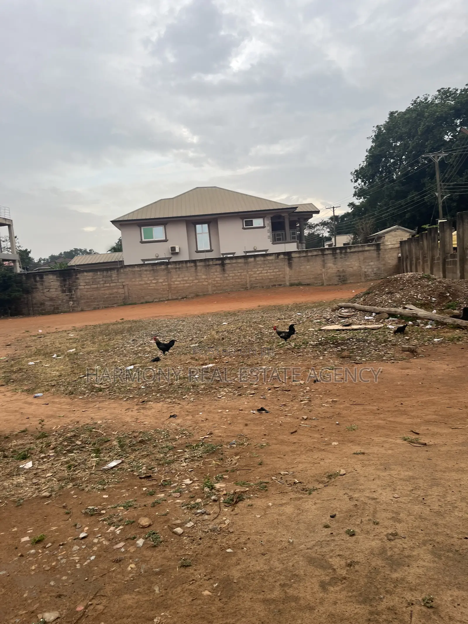 4plots Forsale- Asylum Down