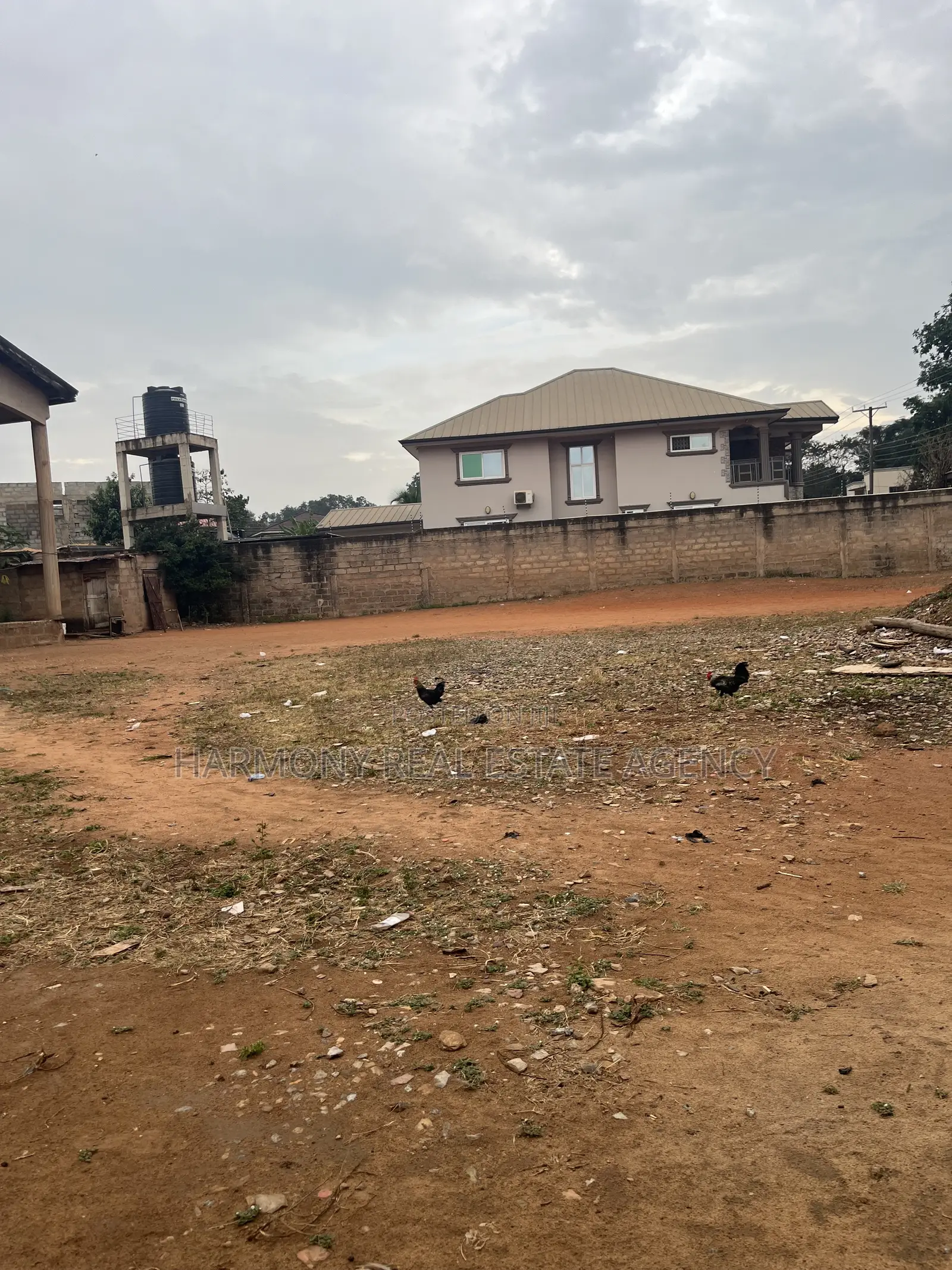 4plots Forsale- Asylum Down
