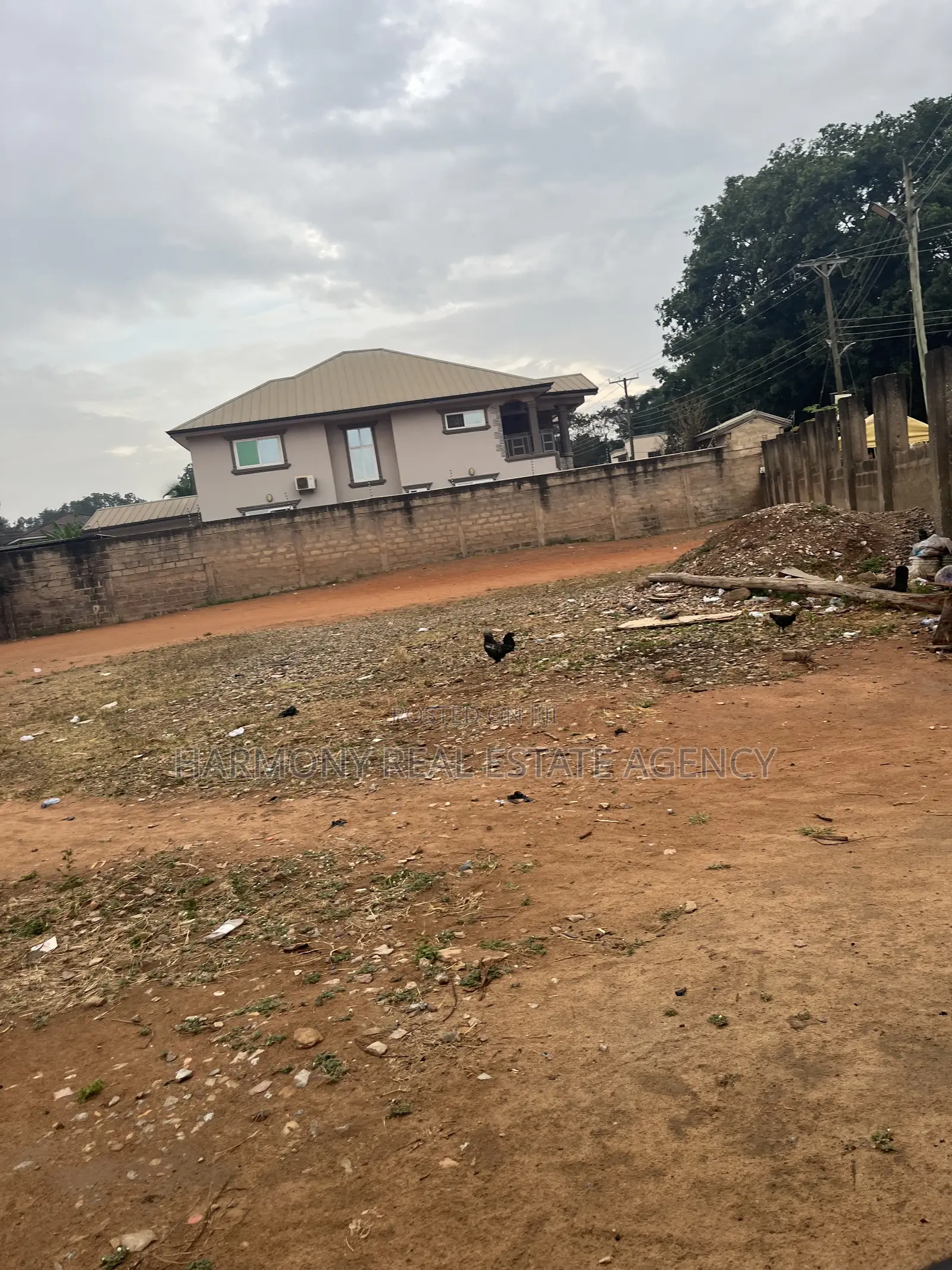 4plots Forsale- Asylum Down