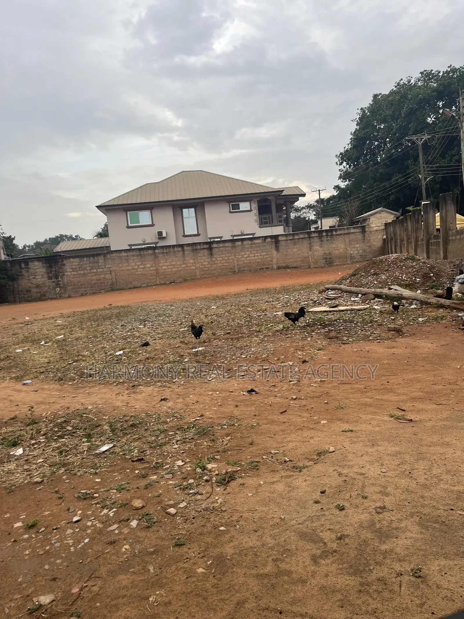 4plots Forsale- Asylum Down