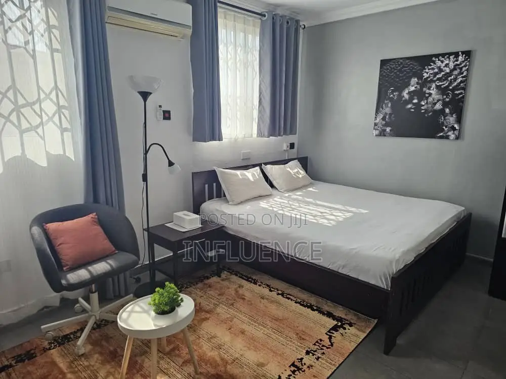 Furnished 1bdrm Apartment in Osu for rent