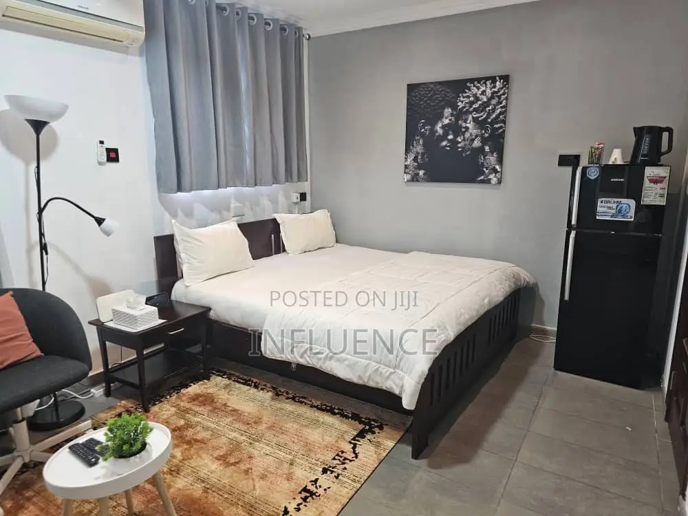 Furnished 1bdrm Apartment in Osu for rent