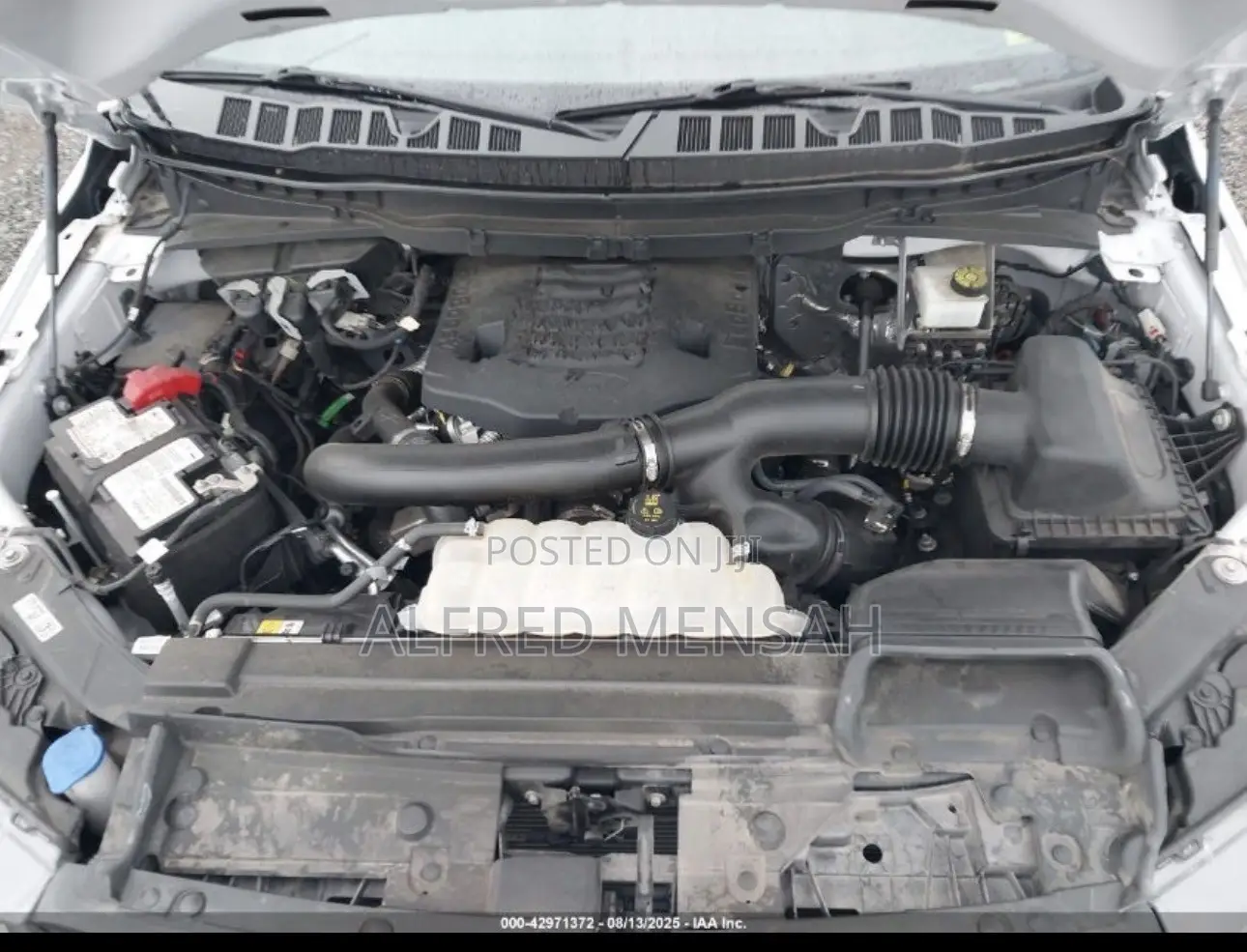 Ford F-150 XLT 2022 White