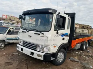 Hyundai Gold 5 Ton Double Axles
