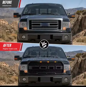2009 - 2014 Ford F150 Grill