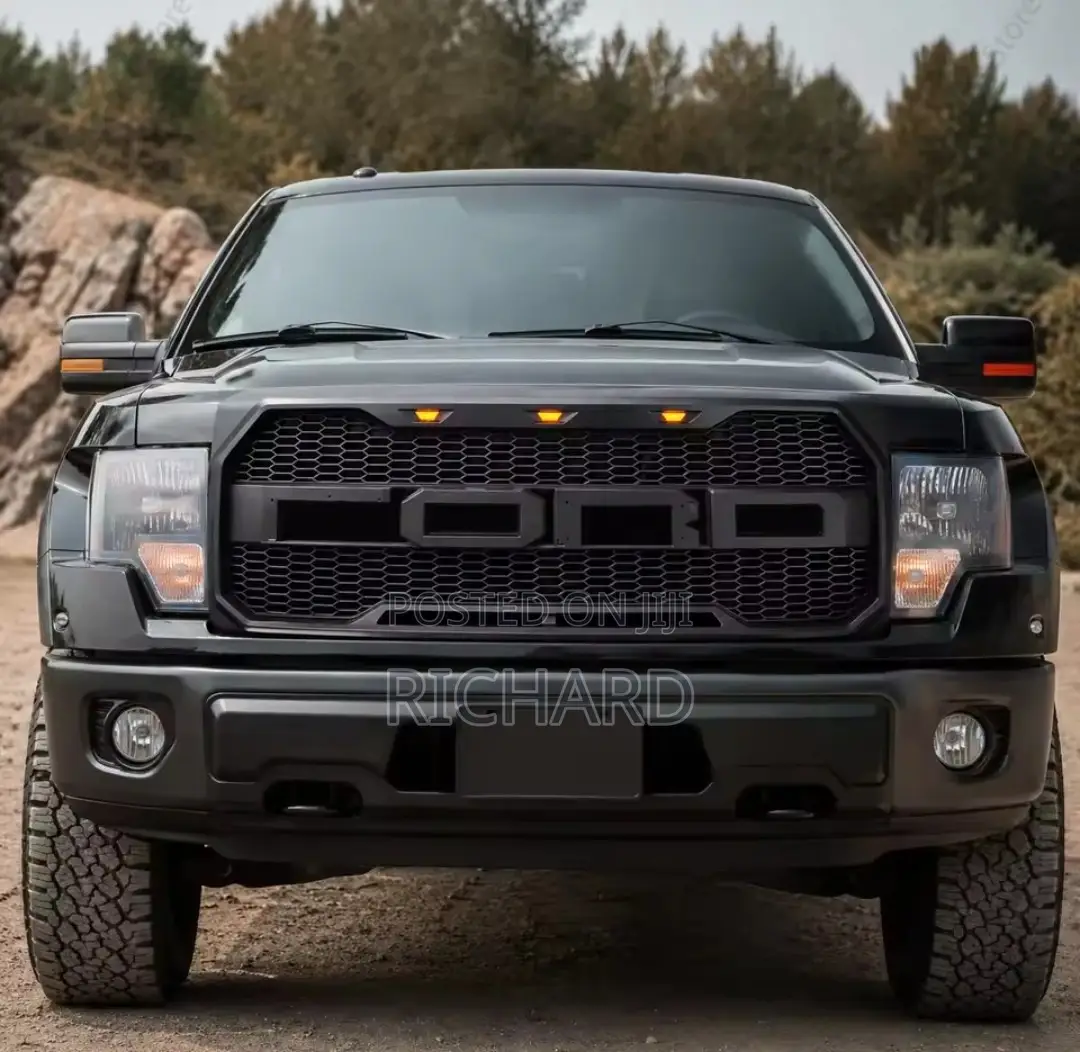 2009 - 2014 Ford F150 Grill
