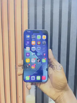 Apple iPhone 15 Pro Max 256 GB Silver