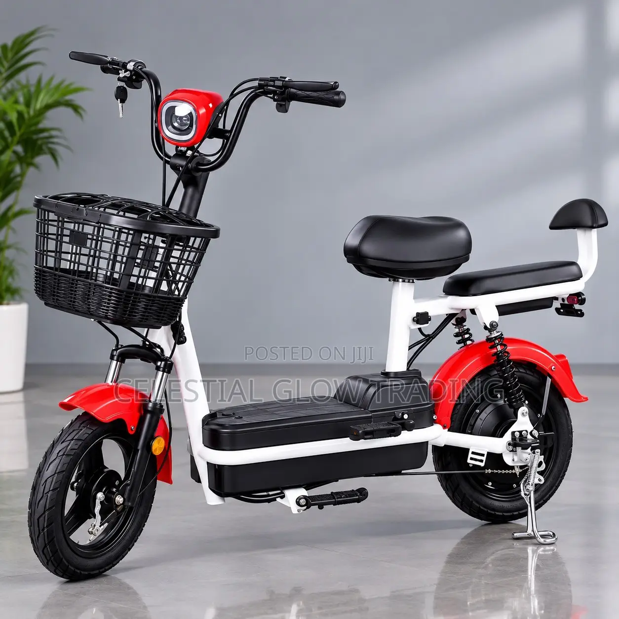 PP Electric Bike 500W – 48V 20Ah Battery, 40KM Range