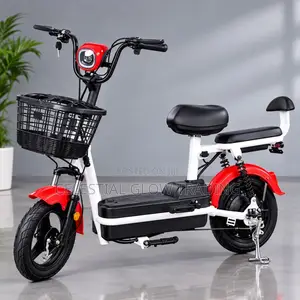 PP Electric Bike 500W – 48V 20Ah Battery, 40KM Range