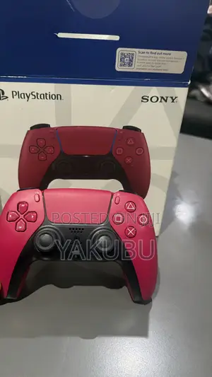 PS5 Controller