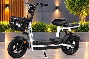 PP Electric Bike 500W – 48V 20Ah Battery, 40KM Range