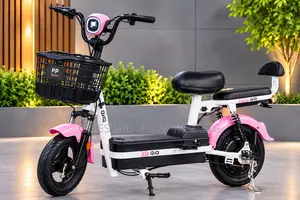 PP Electric Bike 500W – 48V 20Ah Battery, 40KM Range