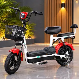 PP Electric Bike 500W – 48V 20Ah Battery, 40KM Range