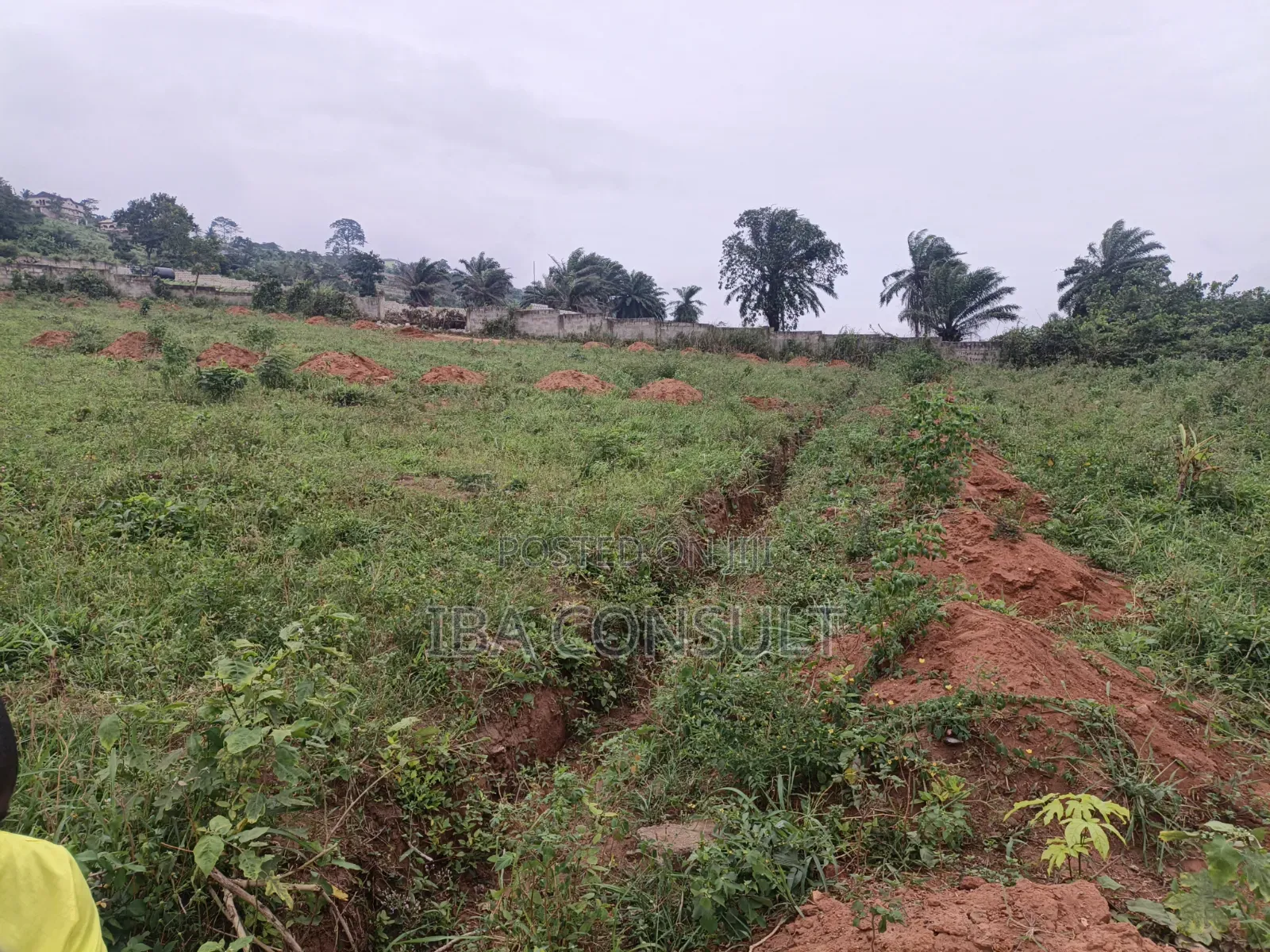 16 Acres of Registered Land for Sale at Aburi