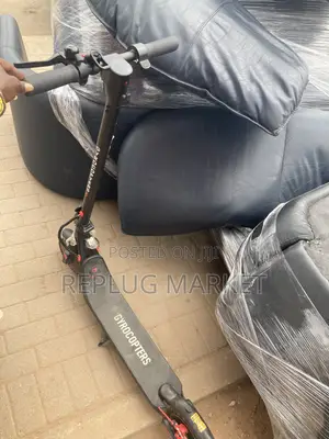 Gyrocopters Flash 6.0 Electric Scooter