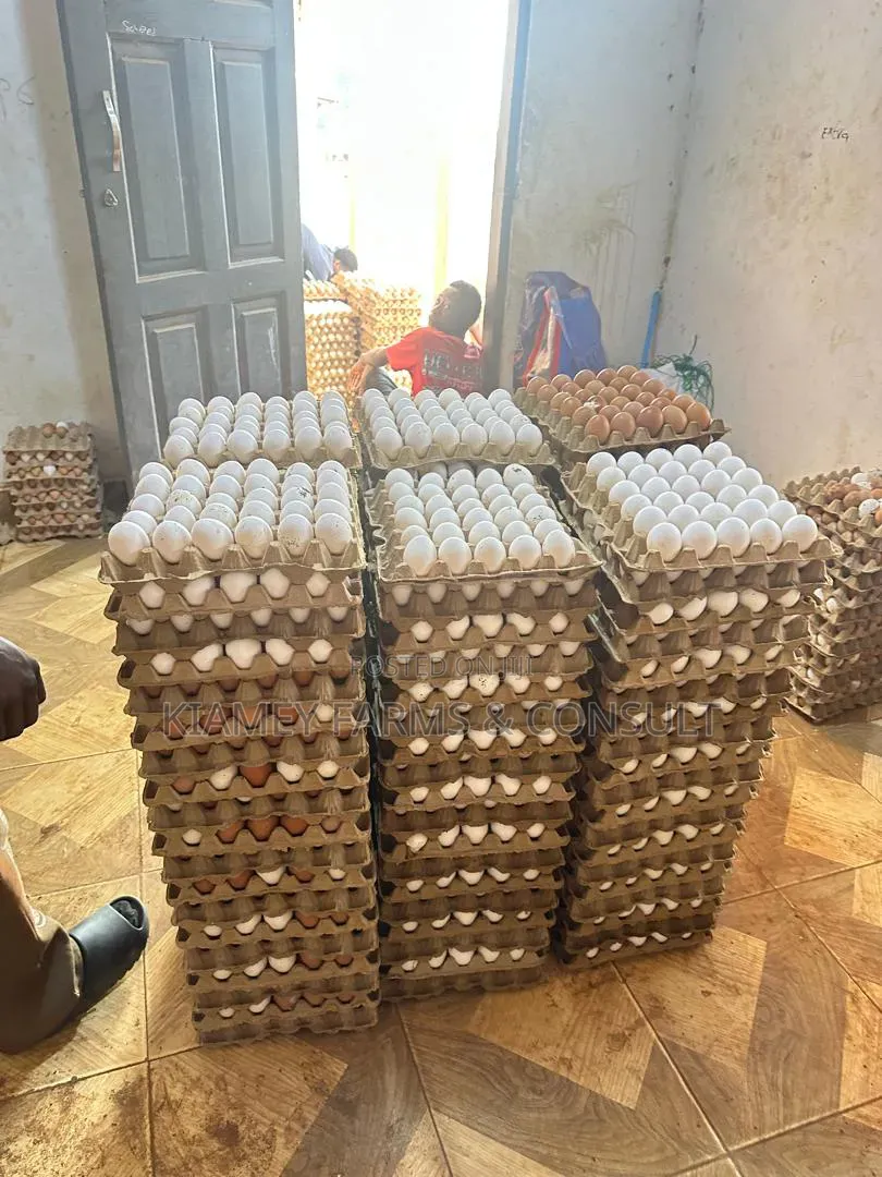 Chicken Eggs