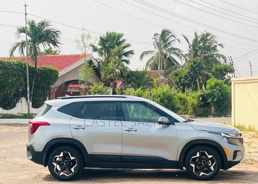 Kia Seltos S 2024 Gray