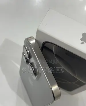 Apple iPhone 16 Pro Max 256 GB Silver