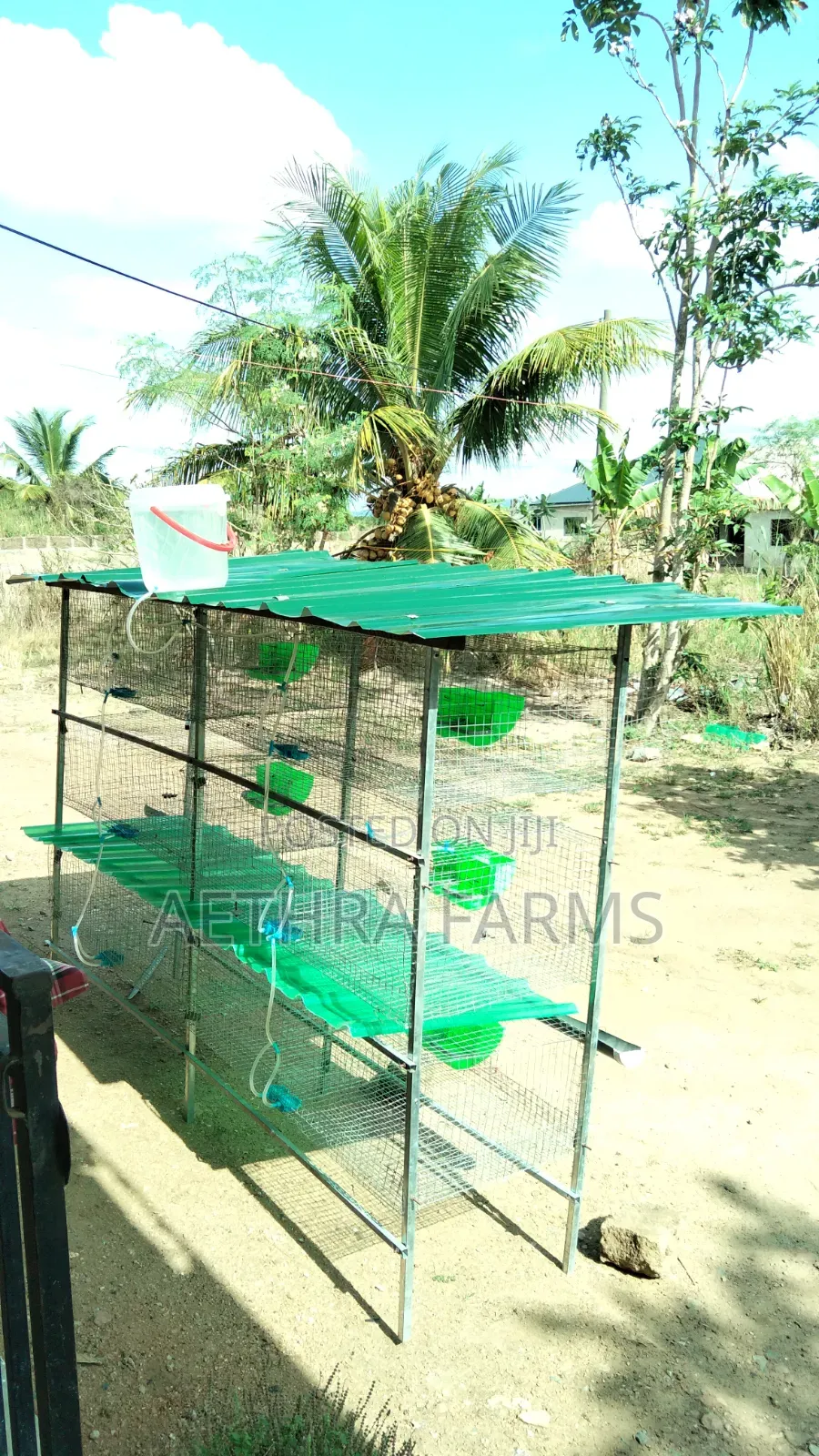 12-Unit Rabbit Cage Automatic Drinker & Feeder | Rabbit Farming Cage