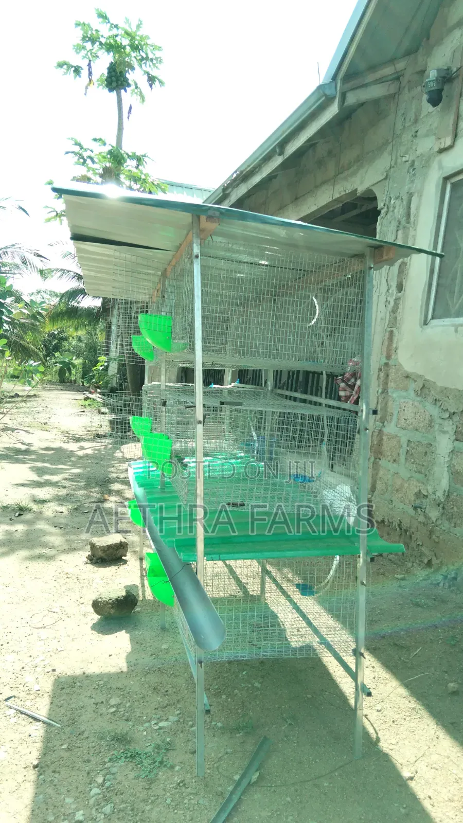 12-Unit Rabbit Cage Automatic Drinker & Feeder | Rabbit Farming Cage