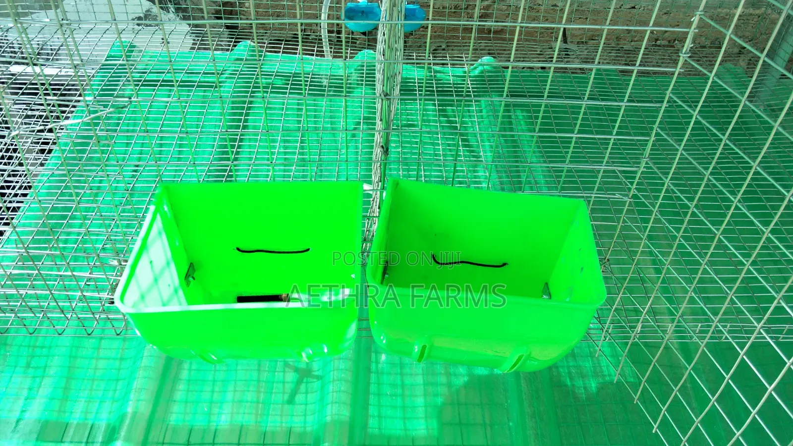 12-Unit Rabbit Cage Automatic Drinker & Feeder | Rabbit Farming Cage