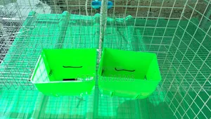 12-Unit Rabbit Cage Automatic Drinker & Feeder | Rabbit Farming Cage