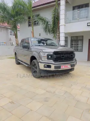 Ford F-150 2018 Gray
