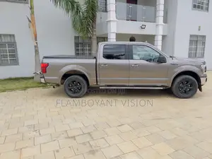 Ford F-150 2018 Gray