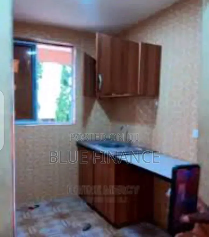 1bdrm Shared Apartment in American House for rent
