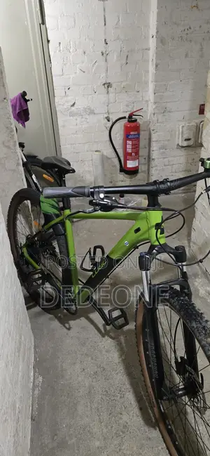 Professional Mountain Bike