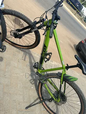 Professional Mountain Bike