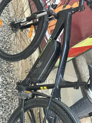 Electric Bike