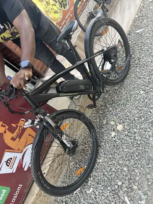 Electric Bike