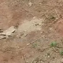 Available Land at Oyarifa
