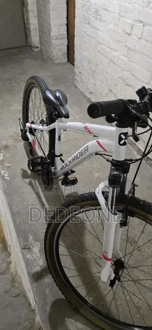 Professional Mountain Bicycle