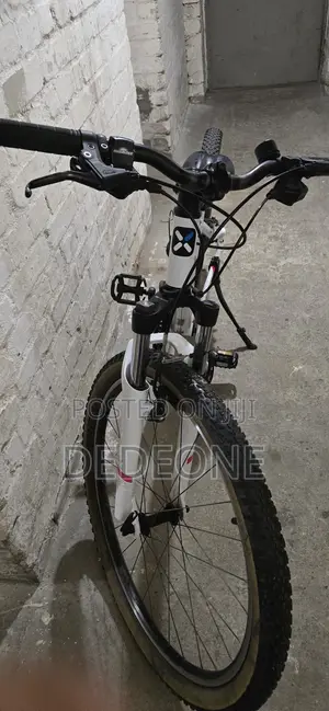 Professional Mountain Bicycle